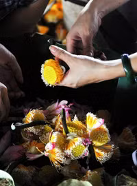 Có một Hà Nội tươi tắn trong những góc nhìn… ảnh 16