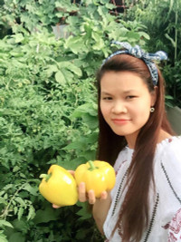 nang-dau-viet-cham-cay-triu-qua-tren-mai-nha-chong-o-han-quoc-1