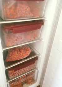 nang-dau-viet-cham-cay-triu-qua-tren-mai-nha-chong-o-han-quoc-3