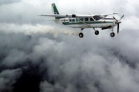 “Pháo muối” cứu hạn ảnh 2