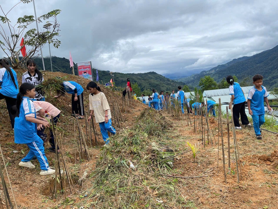 Học sinh Trường Phổ thông dân tộc bán trú Tiểu học & THCS Trà Nam làm đất, trồng cây dược liệu tại vườn trường.