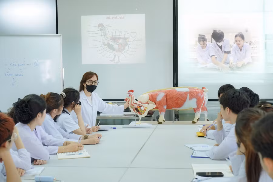 Giờ học của sinh viên khối ngành khoa học sự sống. 