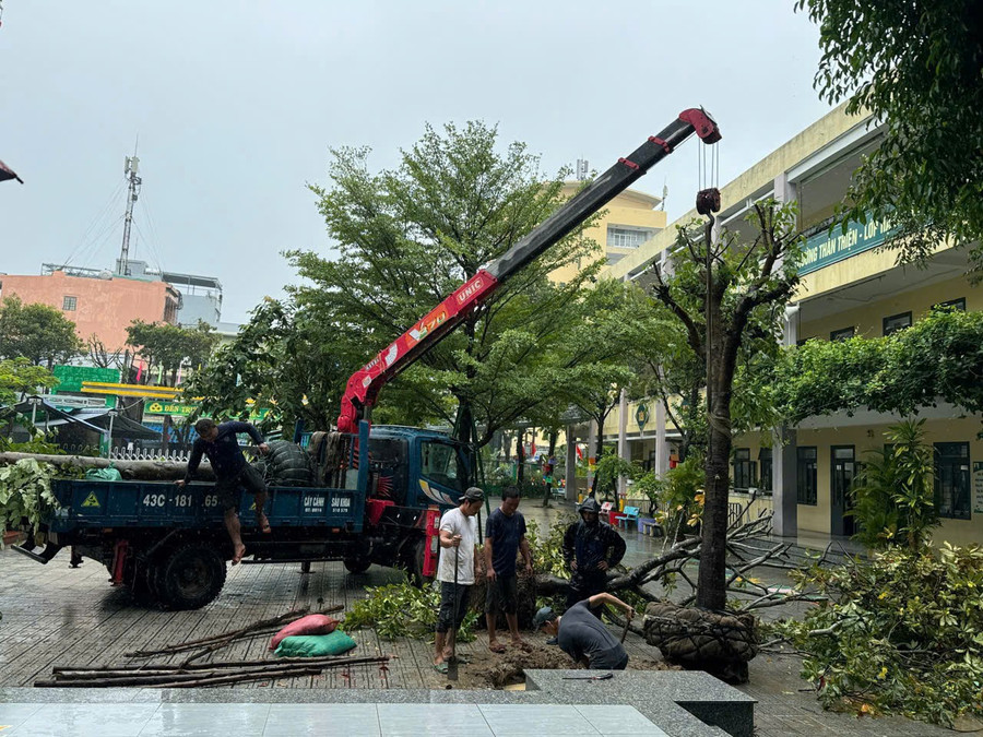 Trường Tiểu học Lê Đình Chinh (phường Hòa Cường, TP Đà Nẵng) cắt tỉa cây xanh trước khi bão đổ bộ. 