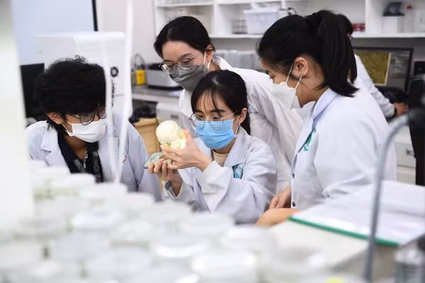 Sinh viên Trường Đại học Quốc tế (Đại học Quốc gia TPHCM). Ảnh: HCMIU.