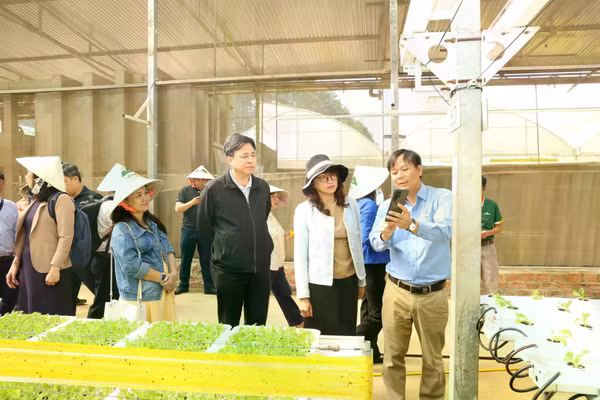 Đoàn công tác Đại học Quốc gia TPHCM tham quan, làm việc tại tỉnh Lâm Đồng nhằm thúc đẩy hợp tác về khoa học công nghệ, đổi mới sáng tạo và phát triển nguồn nhân lực, ngày 15/5.