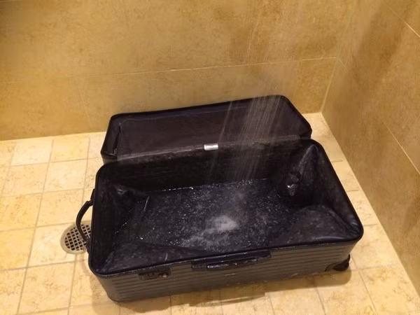 Đàm Vĩnh Hưng gọi Hoài Lâm là 