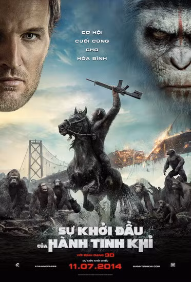 DOTPOTA-Poster-Camp-D.jpg