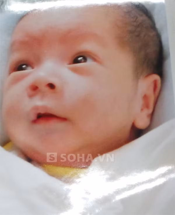 Bé Cù Nguyên Công sau khi về nhà được Nguyệt đổi tên thành Phạm Gia Bảo
