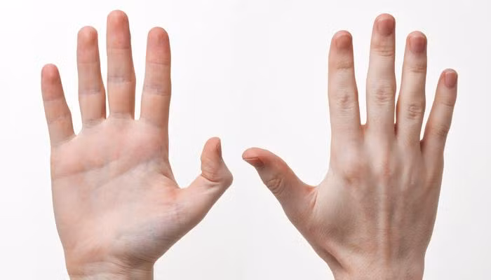 Muốn biết số mệnh có vất vả hay không, nhìn tướng bàn tay là rõ-4