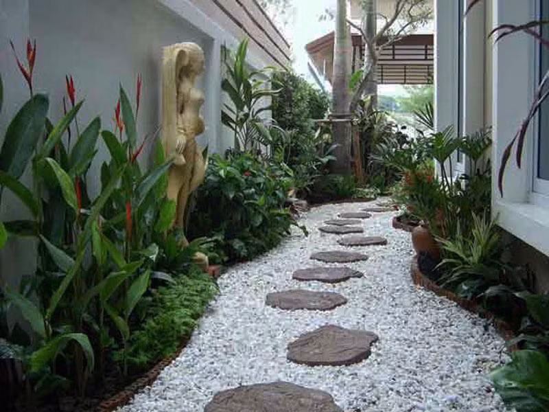 Lựa chọn cây phong thủy bài trí trong nhà, xua tà khí, mang lại may mắn cho gia chủ-2