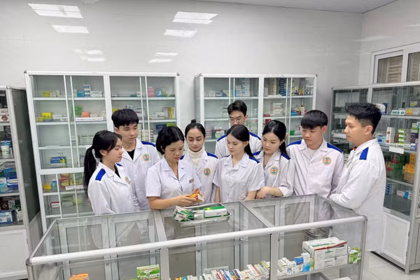 Sinh viên Cao đẳng Y tế Hải Phòng thực tập tại nhà thuốc (Ảnh NT).