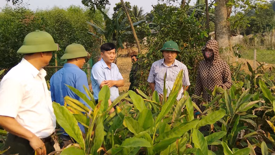 Lãnh đạo xã Xuân Du (tỉnh Thanh Hoá) thăm mô hình kinh tế của bà con.