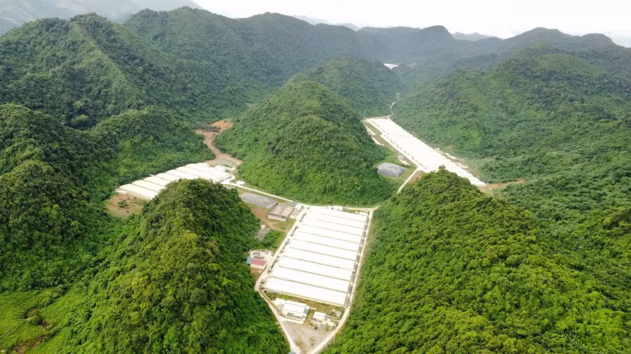 Trang trại lợn ở xã Thạch Quảng, nơi xảy ra vụ tai nạn. 