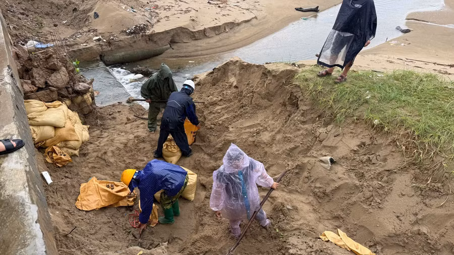 Người dân đang gia cố đê biển ứng phó bão Wipha.
