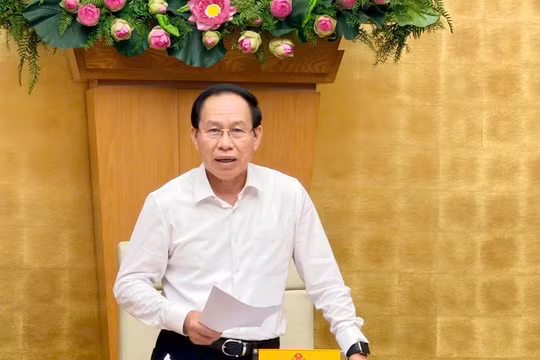 Phó Thủ tướng Lê Tiến Châu phát biểu tại cuộc họp.
