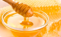 Cac bai thuoc chua ho cuc ky hieu qua vao mua dong - Anh 1