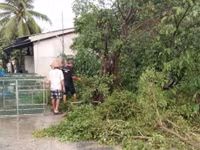 Mưa kèm lốc xoáy trái mùa "quật đổ" cây, cuốn bay nhiều biển hiệu ảnh 6 Mua kem loc xoay trai mua