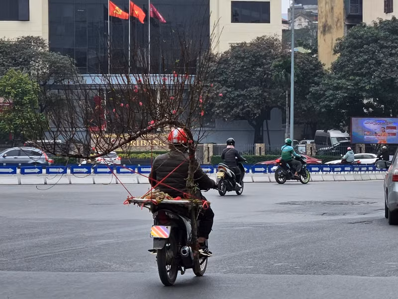 ... để phục vụ nhu cầu "chơi Tết" sớm của người dân. z2.jpg