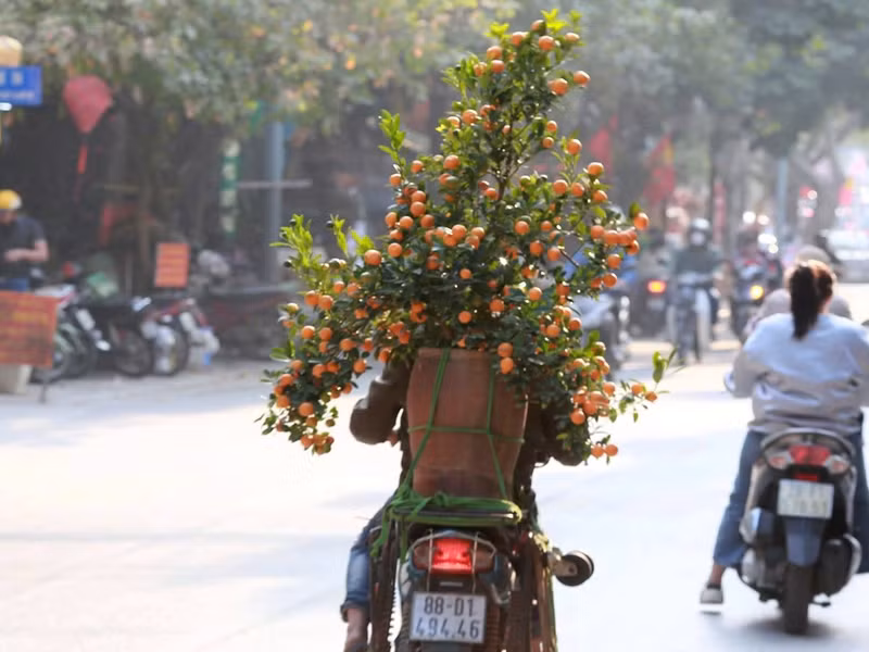 Những lo toan cuộc sống dần được bỏ lại phía sau để đón mùa Xuân mới hạnh phúc và an lành. t10.jpg