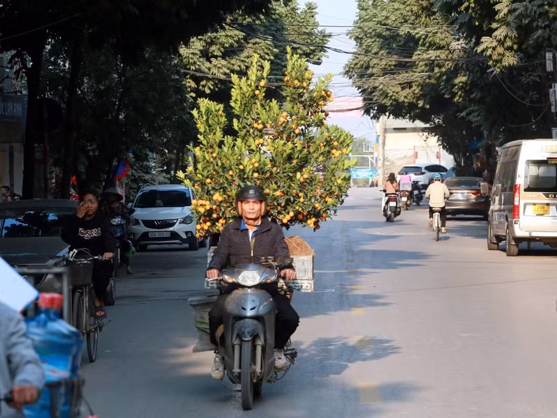Ai cũng bận rộn để chuẩn bị cho năm mới. t9.jpg