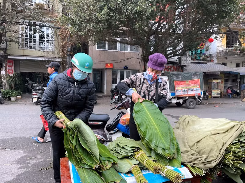 Trong dịp giáp Tết, mỗi gian hàng của tiểu thương thường bán được hàng nghìn, thậm chí lên tới hàng vạn chiếc lá dong mỗi ngày. l7.jpg