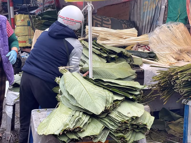 Lá dong rừng tại chợ Trần Quý Cáp có nguồn gốc từ các tỉnh Lào Cai, Tuyên Quang; lá dong quê được nhập từ Thanh Oai (Hà Nội), Phủ Lý (Hà Nam)... l2.jpg