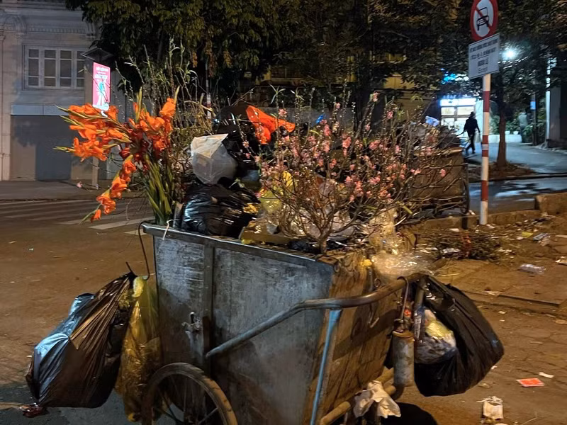 Trái với cảnh nhộn nhịp sắm đào chơi Tết, ngay sau Tết, những cành đào bị bỏ lại đầy các xe rác... r1.jpg