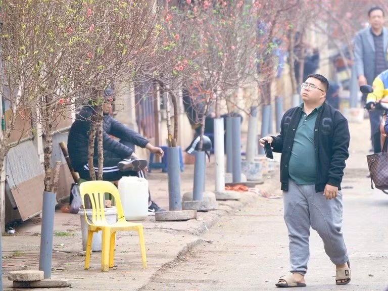 Như mọi năm, những ngày gần Tết, từ các vườn đào, các tiểu thương đều cắt những cành đào dăm để bán tại các chợ hoa Quảng Bá, Lạc Long Quân, vỉa hè các con phố ở Hà Nội... d1.jpg