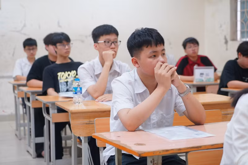 a7.jpg