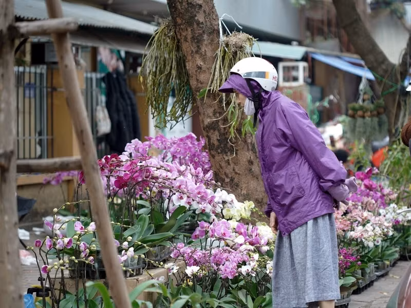 Nhiều người tranh thủ ngắm hoa Xuân trước khi Tết đến. h1.jpg