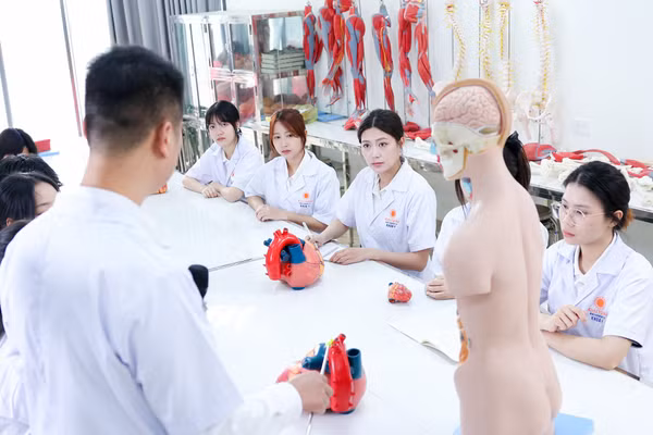 Quy định về nhóm nghiên cứu tiềm năng, nhóm nghiên cứu mạnh trong cơ sở GD đại học