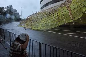 Bão Wipha tới Hong Kong, loạt cây đổ rạp, 400 chuyến bay rối loạn