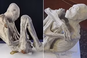 Phát hiện bất ngờ trên xác ướp nghi là người ngoài hành tinh