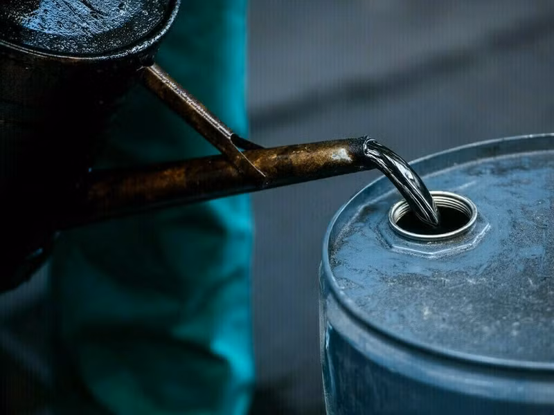 06163937785ff22.jpg
