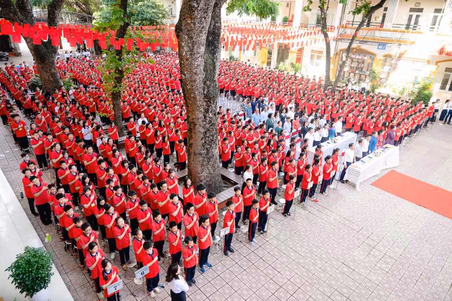 bap-1520.jpg