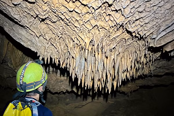 Hệ thống hang động tại Phong Nha - Kẻ Bàng tiếp tục được mở rộng với 26 hang mới, với tổng chiều dài hơn 13.600m.