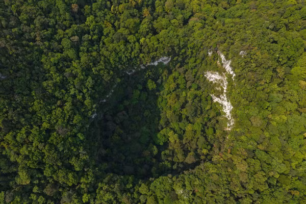 Hố sụt khổng lồ giữa rừng Phong Nha - Kẻ Bàng vừa được công bố. Ảnh: Jungle Boss