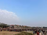 p7.jpg