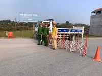 p6.jpg
