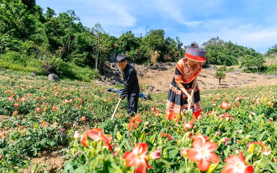 Phát huy vai trò người có uy tín trong vùng đồng bào dân tộc thiểu số ở Thái Nguyên