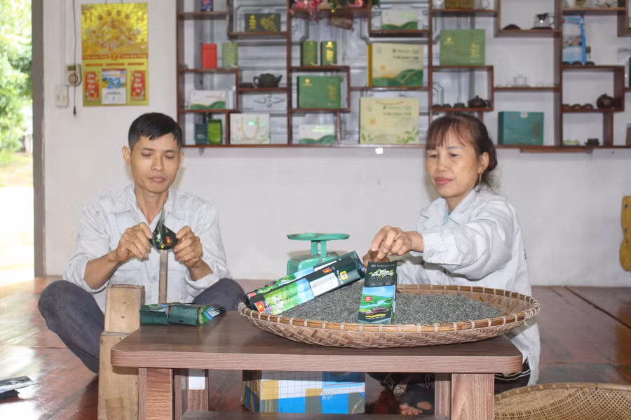 Quy trình sản xuất đóng gói chè được làm khép kín.