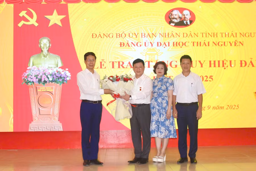 dhtn-5.jpg