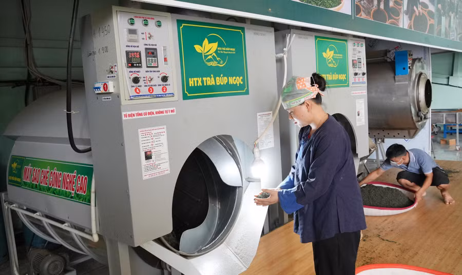 Học viên sau khi hoàn thành khóa học đã mạnh dạn áp dụng kiến thức vào phát triển kinh tế gia đình hoặc tìm được việc làm ổn định tại các doanh nghiệp trong và ngoài tỉnh.