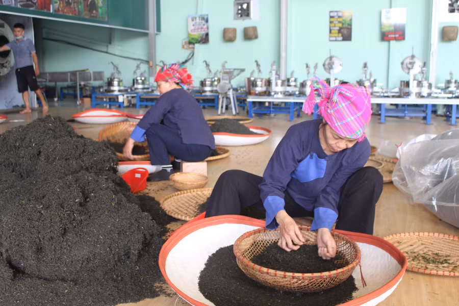 Đào tạo nghề là giải pháp quan trọng để nâng cao chất lượng nguồn nhân lực, tạo việc làm và thực hiện mục tiêu giảm nghèo bền vững.