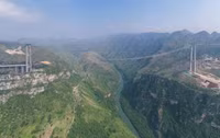 cây cầu 2.jpg