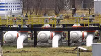dg-ong-4.jpg