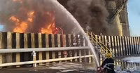 hoa-hoan-6-8960.jpg