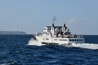 dao-2-75-phut.jpg
