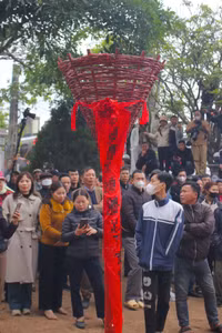 anh-2-201.jpg