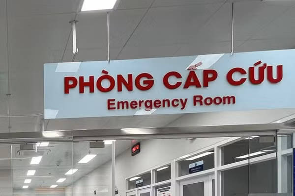 Ngành Y tế TPHCM hướng về ngày bầu cử. (Ảnh minh họa).